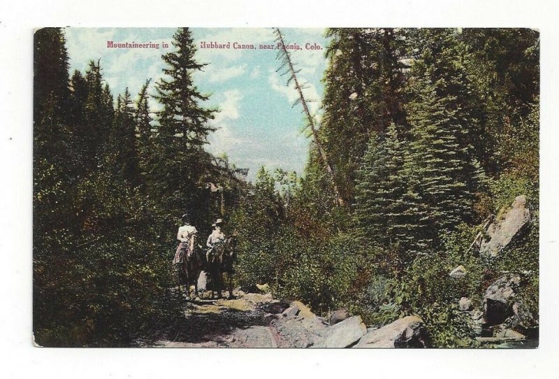 Postcard Colo. Mountaineering Hubbard Canon Canyon Paonia Standard View Card 