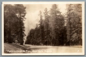 Postcard RPPC c1930s Jacob Lake AZ Highway Through The Pines Kaibab Forest