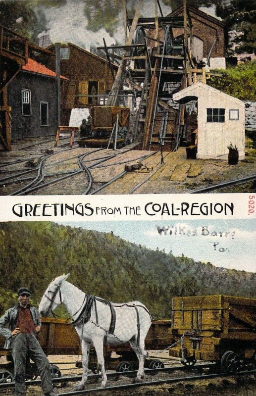 c.'10, Coal Region, Mine, Mules, Wagon, Miner, Wilkes Barre PA, Old Postcard