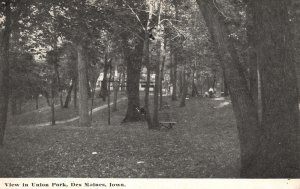 Vintage Postcard 1911 View In Union Park Benches Tree Shades De Moines Iowa IA