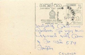 Entier Postal Stationery Postal Sri Lanka Ceylon Lion