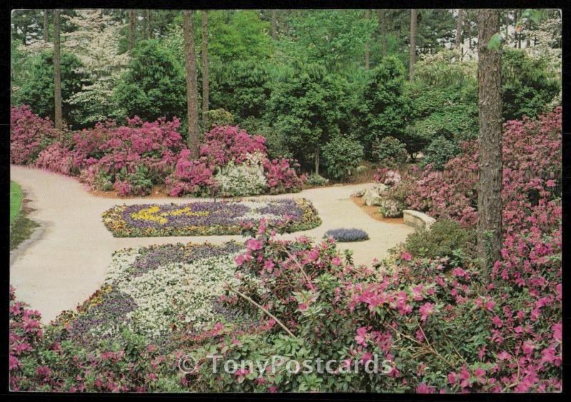 Hodges Gardens - Famous Garden in the Forest