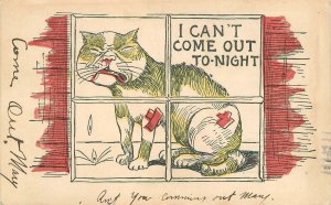 Postcard 1907 Scratched cat can't go out Comic humor undivided 23-7523