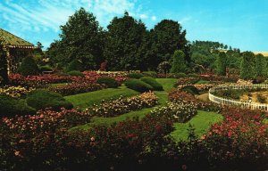 Postcard Hershey Rose Gardens And Arboretum Mid-June Colorama Pennsylvania PA