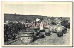 Old Postcard Folklore Wine Vintage Champagne Moet Chandon has vintage Scene a...