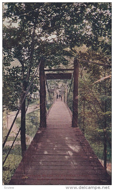 Suspension Bridge, Eastman Spring, Michigan, PU-1907