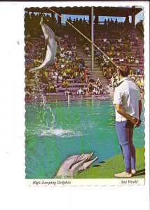 High Jumping Dolphin, Seaworld, Florida,