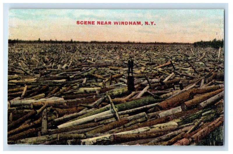 c1910 Scene Near Windham New York NY Antique Unposted Postcard 