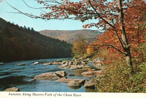 Postcard Autumn Along Shavers Fork Of Cheat River Randolph County West Virginia