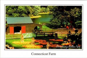 Guilford, CT Connecticut STRAWBERRY HOLLOW FARM Halloween Pumpkins 4X6  Postcard