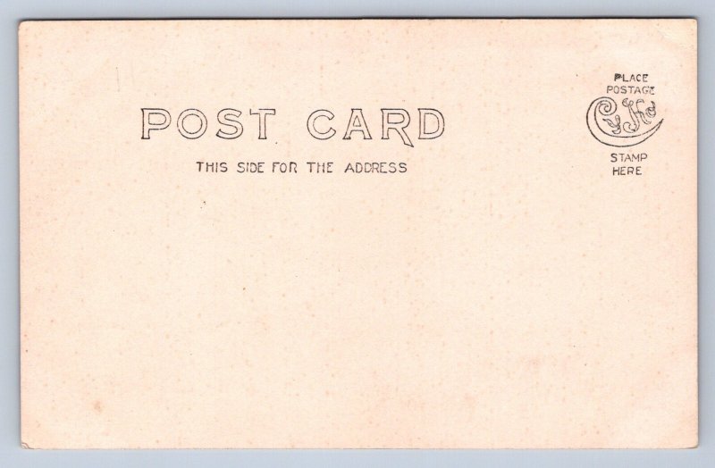 J90/ Beaver Dam Wisconsin RPPC Postcard c1910 Manufacturing District 317