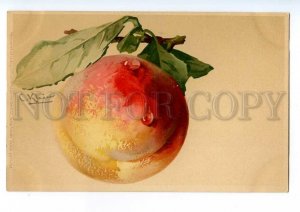 497553 Catherine KLEIN Huge PEACH w/ Dews Vintage postcard Meissner #1221