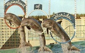 Marineland - St Augustine, Florida FL  