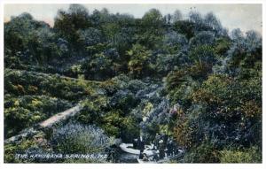 New Zealand    The Hamurana Springs