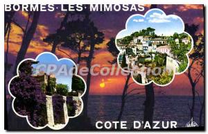 Modern Postcard La Cote D'Azur Bormes les Mimosas Var