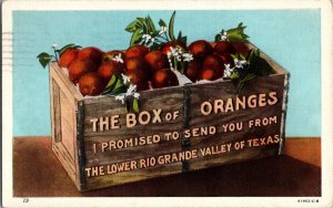 Vintage Postcard Advertising Oranges Mission Texas JW9