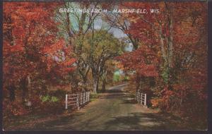 Greetings From Marshfield,WI Postcard