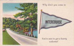 Pennsylvania Intercourse 1953 Pennant Series