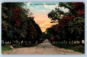 Columbus Wisconsin Postcard James Street Road Exterior 1910 Vintage Antique