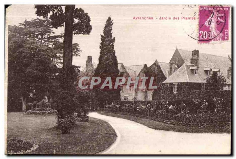 Old Postcard Avranches garden plants