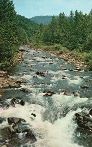 Postcard Mountain Stream Great Smoky Mountains Fishing Streams North Carolina NC