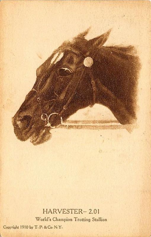 1910 Harvester World's Champion Trotting Stallion Postcard 