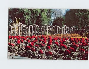 Postcard Typical flower plot, Greetings From Rockome, Arcola, Illinois