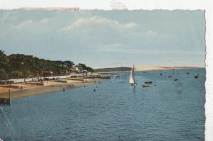 BF19920 bassin d arcachon le moulleau vue vers les dans  france front/back image