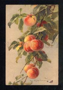 3033856 Peaches & BUTTERFLIES By C. KLEIN vintage PC