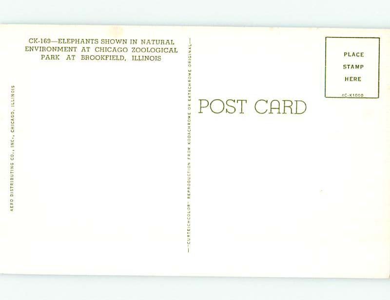 Chrome ZOO SCENE Brookfield Illinois IL AG1750@