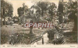 Old Postcard MONTE CARLO � In the Gardens