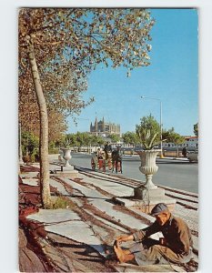 Postcard La Catedral, desde el Paseo Maritimo, Palma, Spain