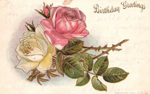 Birthday Greetings Large Print Yellow & Red Roses Wishes Vintage Postcard c1910