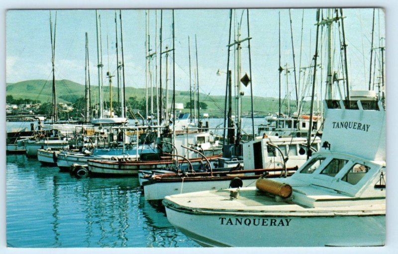 BODEGA BAY, California CA ~ HARBOR Boat Tanqueray Sonoma County 1960s Postcard