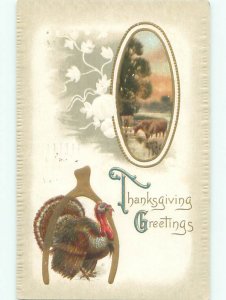 Divided-Back THANKSGIVING SCENE Great Postcard AA0576