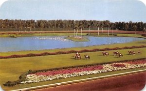 Beautiful Hiahleah Race Course Miami, Florida  