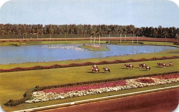 Beautiful Hiahleah Race Course Miami, Florida  