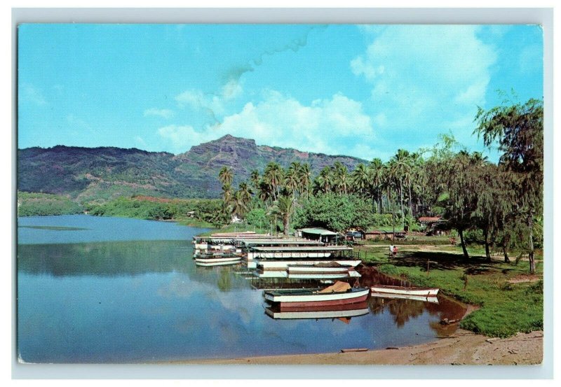Vintage Excursion Boats Wailua River fern Grotto Kauai, HI. Postcard F74