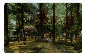 PA - Easton. Greater Island Park, Picnic Ground ca 1910