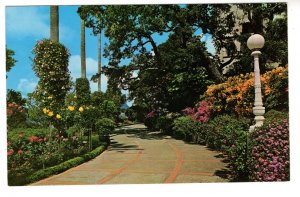 Flower Gardens, Hearst San Simeon State Histroical Monument, California