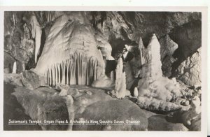 Somerset Postcard - Solomon´s Temple - Archangel´s Wings - Cheddar - Ref TZ6005