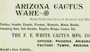 1893 World's Fair Arizona Cactus Ware The F.E. White Cactus MFG. Co. P177