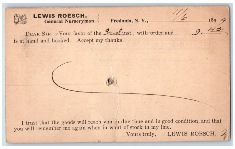 1899 Lewis Roesch General Nurseryman Fredonia New York NY Postal Card 