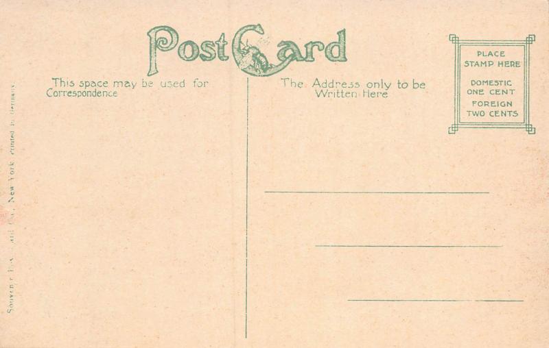 Emory Street Bridge, Asbury Park, New Jersey, Early Postcard, Unused