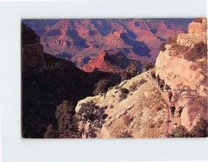 Postcard By Mule Train Into The Grand Canyon, Grand Canyon National Park, AZ