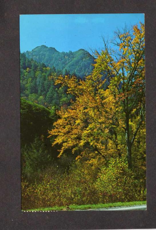 TN Chimney Tops Mtns Tennessee Postcard NC Great Smoky Mountains National Park