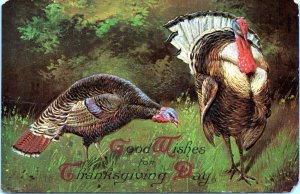 Embossed Wild Turkeys Good Wishes For Thanksgiving Day 1910 Postcard AG