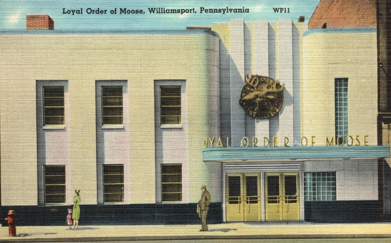 Loyal Order Of Moose Fraternal Organization Williamsport Pennsylvania Postcard