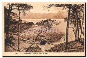 Old Postcard L'Esterel Pines Sea edge