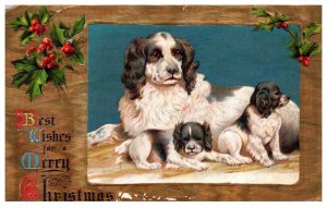 Dog , Spaniels , Best Wishes  Christmas